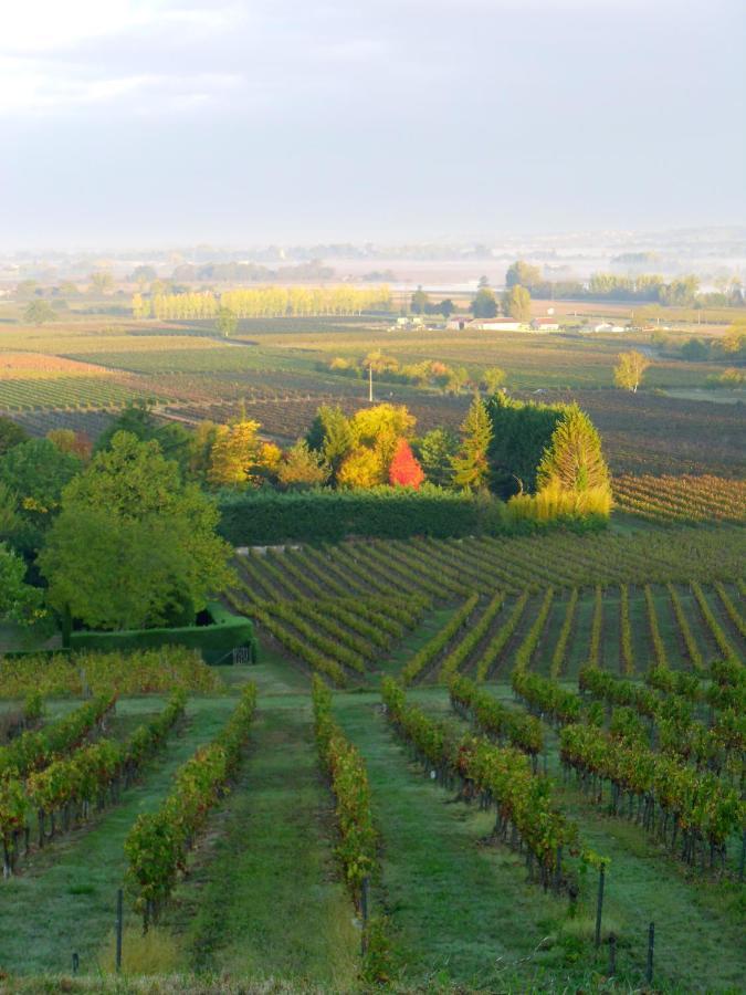 Romantic Gite Nr St Emilion With Private Pool And Views To Die For Pujols  Экстерьер фото