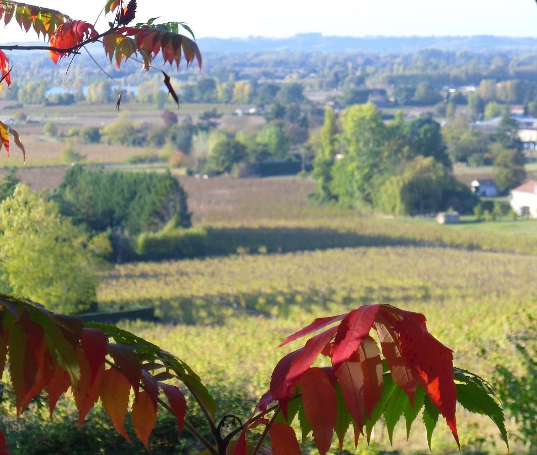 Romantic Gite Nr St Emilion With Private Pool And Views To Die For Pujols  Экстерьер фото
